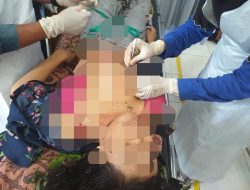 Siswi SMK di Halsel Dibunuh dan Dibuang, Ke Semak-Semak