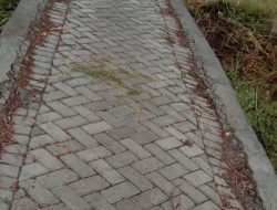 Belum Setahun Di Bangun, Jalan Lingkungan BPP Sidangoli Mulai Rusak