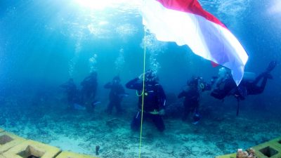 Peringati HUT RI, HARITA Nickel Tanam Terumbu Karang Buatan