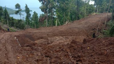 Belum Kantongi Izin, CV Multi Jaya Sentosa Serobot Lahan Warga Wayaua