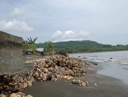 Talud Rusak, Warga Desa Mira Minta Perhatian Pemerintah