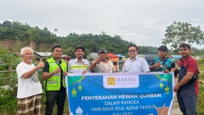 Harita Nickel Salurkan 24 Ekor Hewan Kurban Untuk Hari Raya Idul Adha