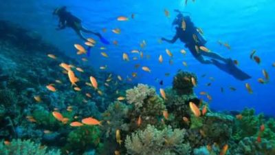 Tingkatkan PAD Dispar Halmahera Selatan Manfaatkan Potensi Spot Diving