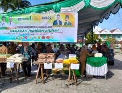 Badan Pangan Nasional Gandeng Distan Halmahera Selatan Gelar Pasar Murah