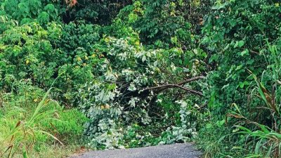 Budi Kamarullah Otak Dibalik Boikot Akses Jalan Laluin-Ori