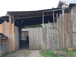 Izin Industri Kayu Milik Lausu Tidak Ilegal