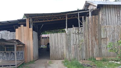 Izin Industri Kayu Milik Lausu Tidak Ilegal