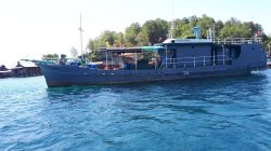 2 Tahun PT Karya Alam Bahari Garap Mutiara di perairan Obi Tanpa Izin