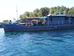 2 Tahun PT Karya Alam Bahari Garap Mutiara di perairan Obi Tanpa Izin